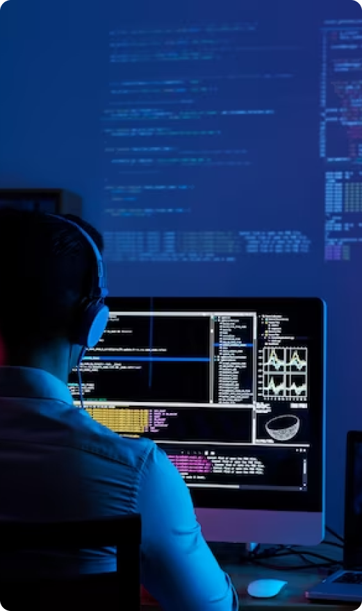 Security Analyst Working